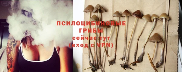 спайс Аркадак